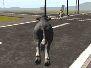 Logħba Crazy Bull City  onlajn
