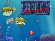 Logħba Frenzy li jitma ' onlajn