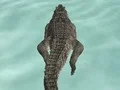 Logħba Crocodile Simulator Beach Hunt onlajn