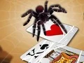 Logħba Jumping Spider onlajn