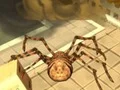 Logħba Spider Simulator: Amazing City onlajn