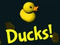 Logħba Ducks! onlajn