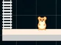 Logħba Hamster Grid Even Odd onlajn