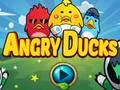 Logħba Angry Ducks onlajn