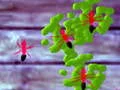 Logħba Smash Ants onlajn