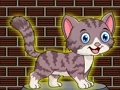 Logħba Loveable Small Cat Escape onlajn