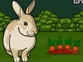 Logħba Rescue The Grey Rabbit onlajn