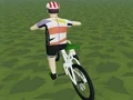 Logħba Riding Extreme 3D onlajn