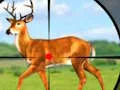 Logħba Wild Hunt Hunting Games 3D onlajn