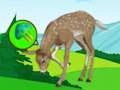 Logħba The Deer Meadow Escape onlajn