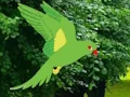 Logħba Parrot Find The Nest onlajn