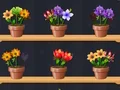 Logħba Good Flower Master onlajn