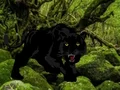 Logħba Escape from Black Panther Forest onlajn
