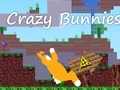Logħba Crazy Bunnies onlajn