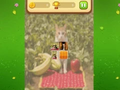 Logħba Farm Cat Memory Match onlajn