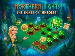 Logħba Northern Lights - The Secret Of The Forest onlajn