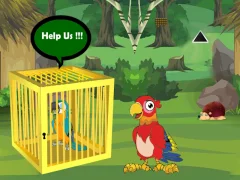 Logħba Release Trapped Macaw Buddy onlajn