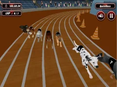 Logħba Crazyl Dog Racing Fever onlajn