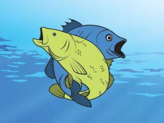 Logħba Friendly Fish Coloring onlajn
