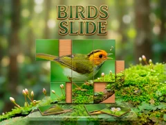 Logħba Birds Slide onlajn