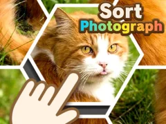 Logħba Sort Photograph onlajn