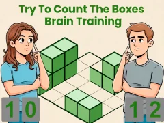 Logħba Try To Count The Boxes Brain Training onlajn