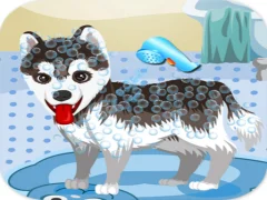 Logħba My Cute Dog Bathing onlajn