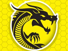 Logħba Kung Fu Fury onlajn