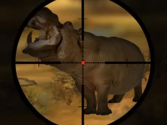 Logħba Classical Hippo Hunting onlajn