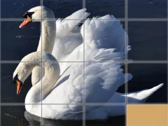 Logħba Animals Slide Puzzle onlajn