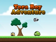 Logħba Tora Boy Adventure onlajn