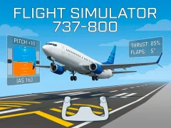 Logħba Flight Simulator 737-800 onlajn
