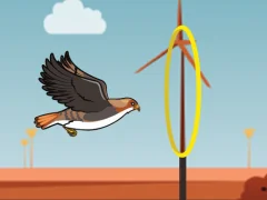 Logħba Flying bird onlajn