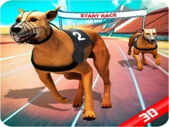 Logħba Crazy Dog Race onlajn