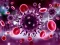 Logħba Coronavirus Puzzle onlajn
