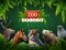 Logħba ZOO Trivia onlajn