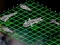 Logħba Intergalactic Battleships onlajn