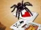 Logħba Jumping Spider onlajn