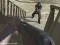 Logħba Western:Invasion onlajn