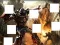 Logħba Transformers 3 image puzzles onlajn