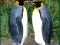Logħba Penguin Puzzle onlajn