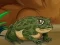 Logħba Frogs Matching onlajn
