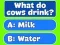 Logħba Trivia Best Family Quiz onlajn