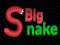 Logħba Big Snake.io onlajn