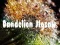 Logħba Dandelion Jigsaw onlajn