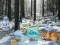Logħba Winter Wonderland Forest Adventure onlajn