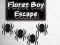 Logħba Floret Boy Escape onlajn