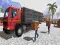 Logħba Asian offroad cargo truck driver onlajn