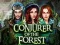 Logħba Conjurer Of The Forest onlajn