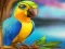 Logħba Little Parrot Escape onlajn